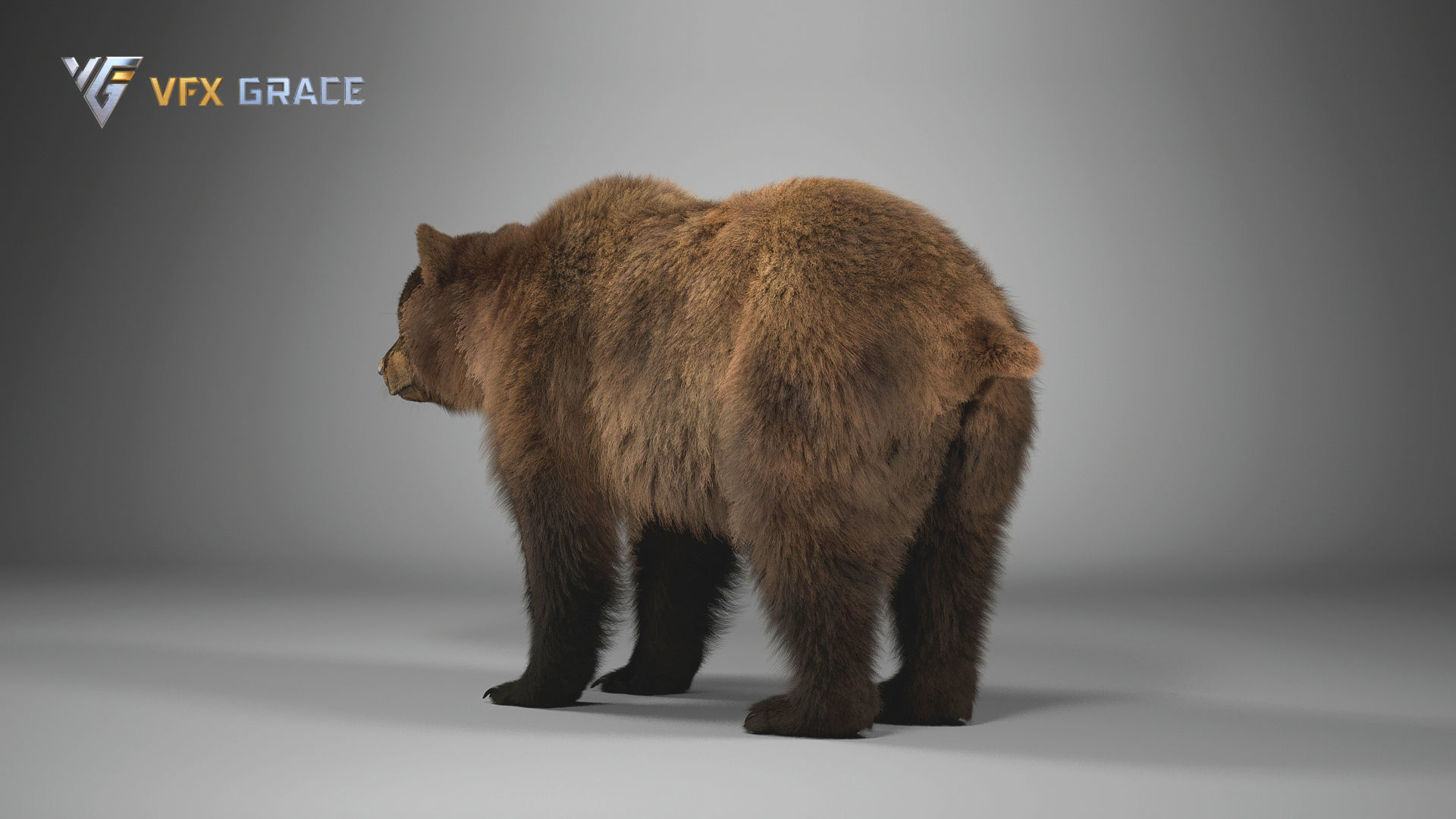 Brown Bear Female UE Character Asset 3D model_7