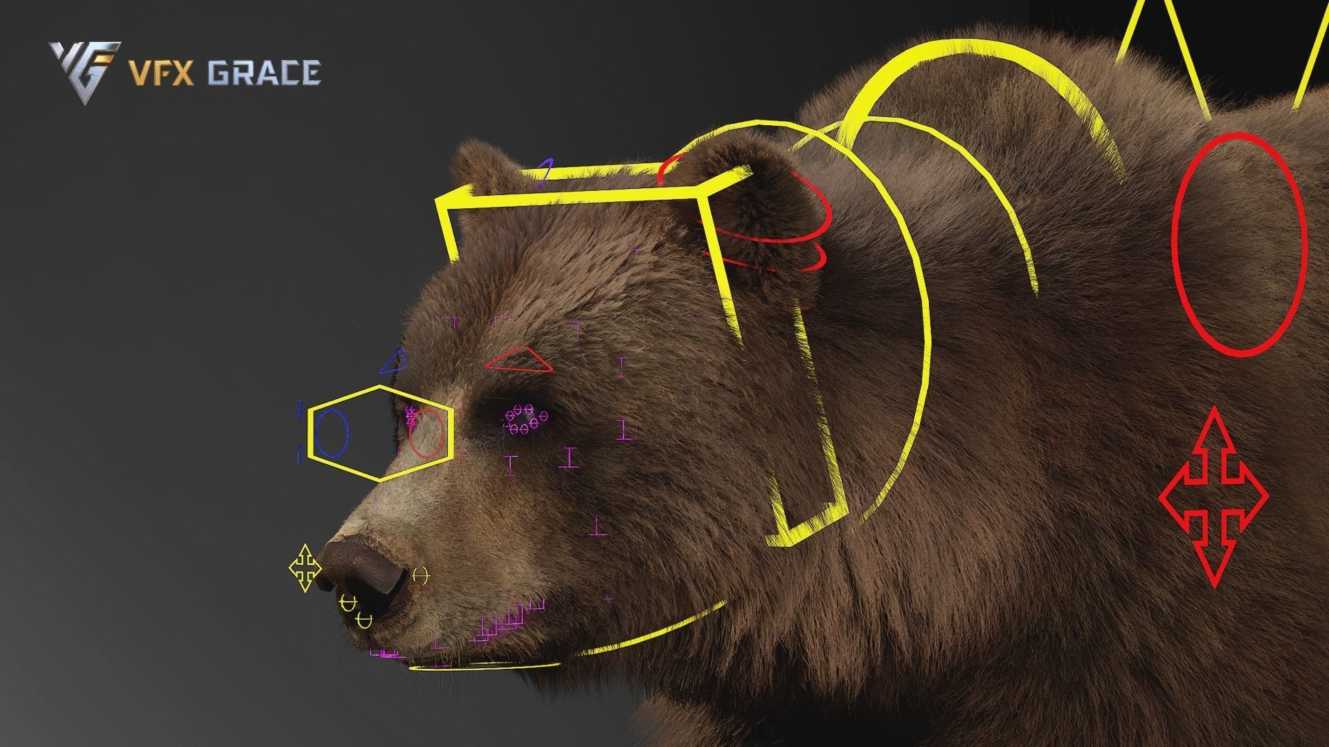 Brown Bear Female UE Character Asset 3D model_16