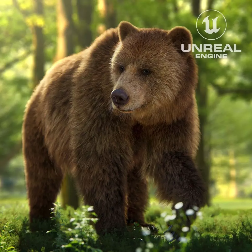 Brown Bear Female UE Character Asset 3D model_0