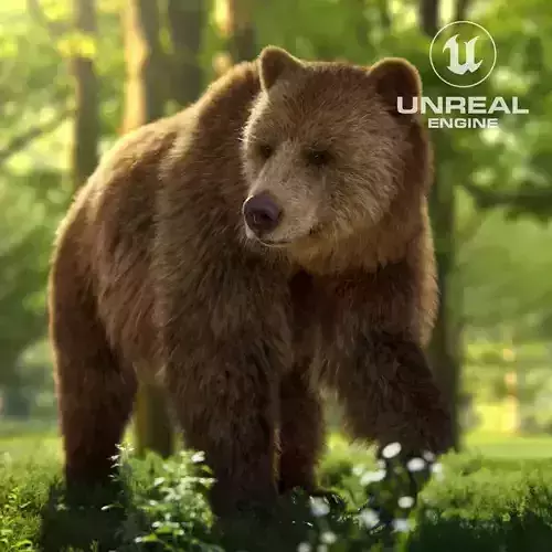 Brown Bear Female UE Character Asset 3D model Brown Bear Female UE Character Asset 3D model