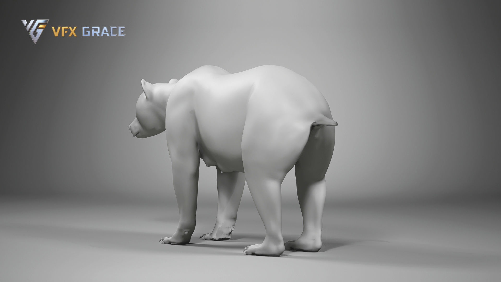 Brown Bear Female UE Character Asset 3D model_14