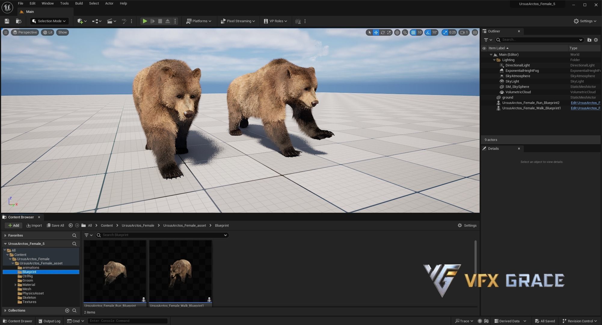 Brown Bear Female UE Character Asset 3D model_19