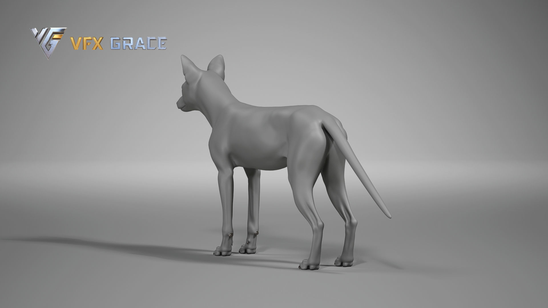 Red Fox UE Character Asset 3D model_16