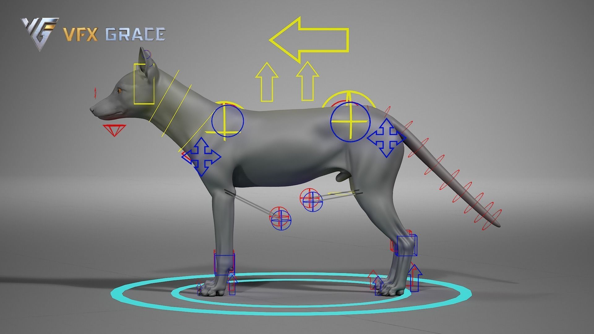 Red Fox UE Character Asset 3D model_18