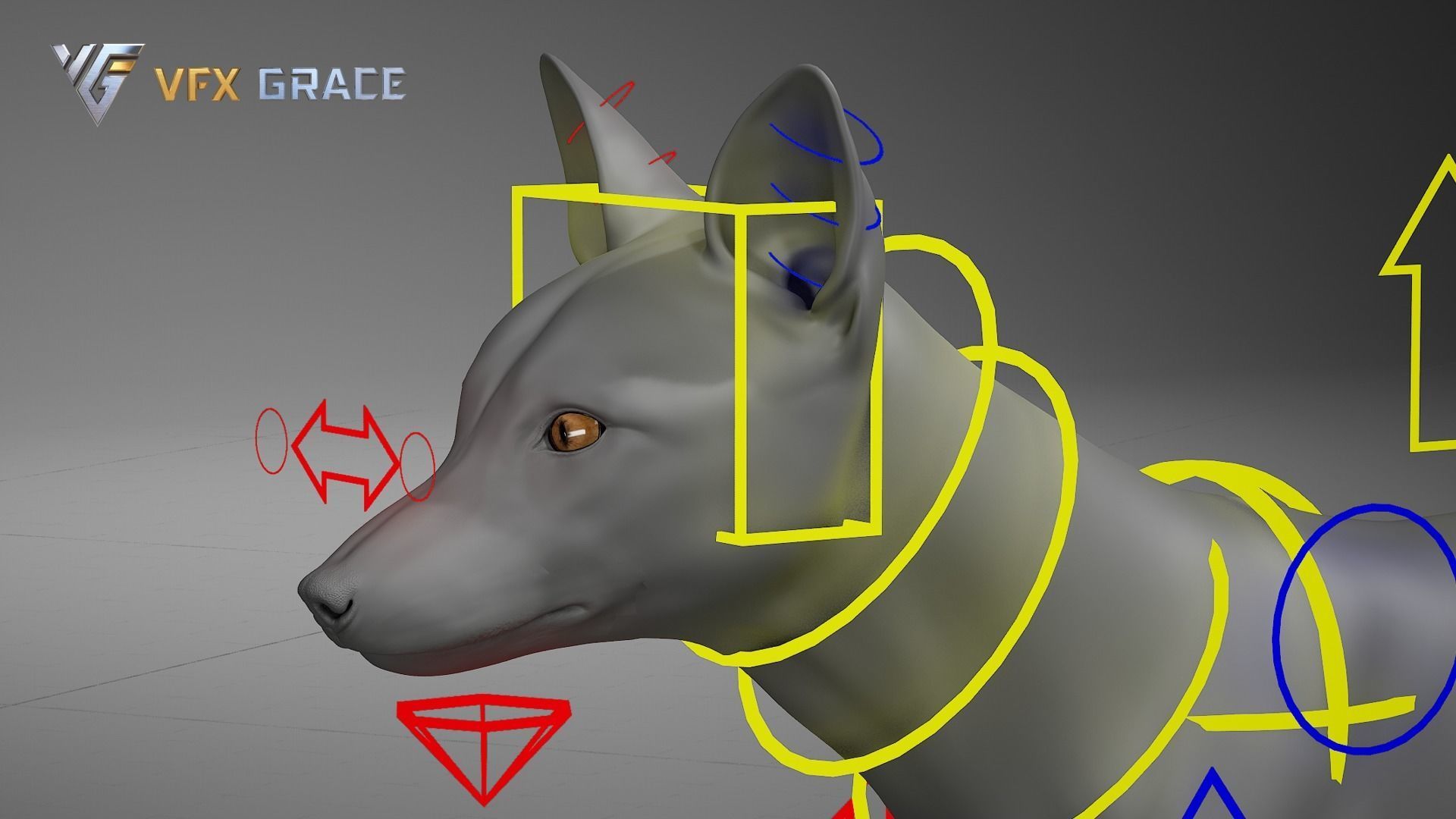 Red Fox UE Character Asset 3D model_19