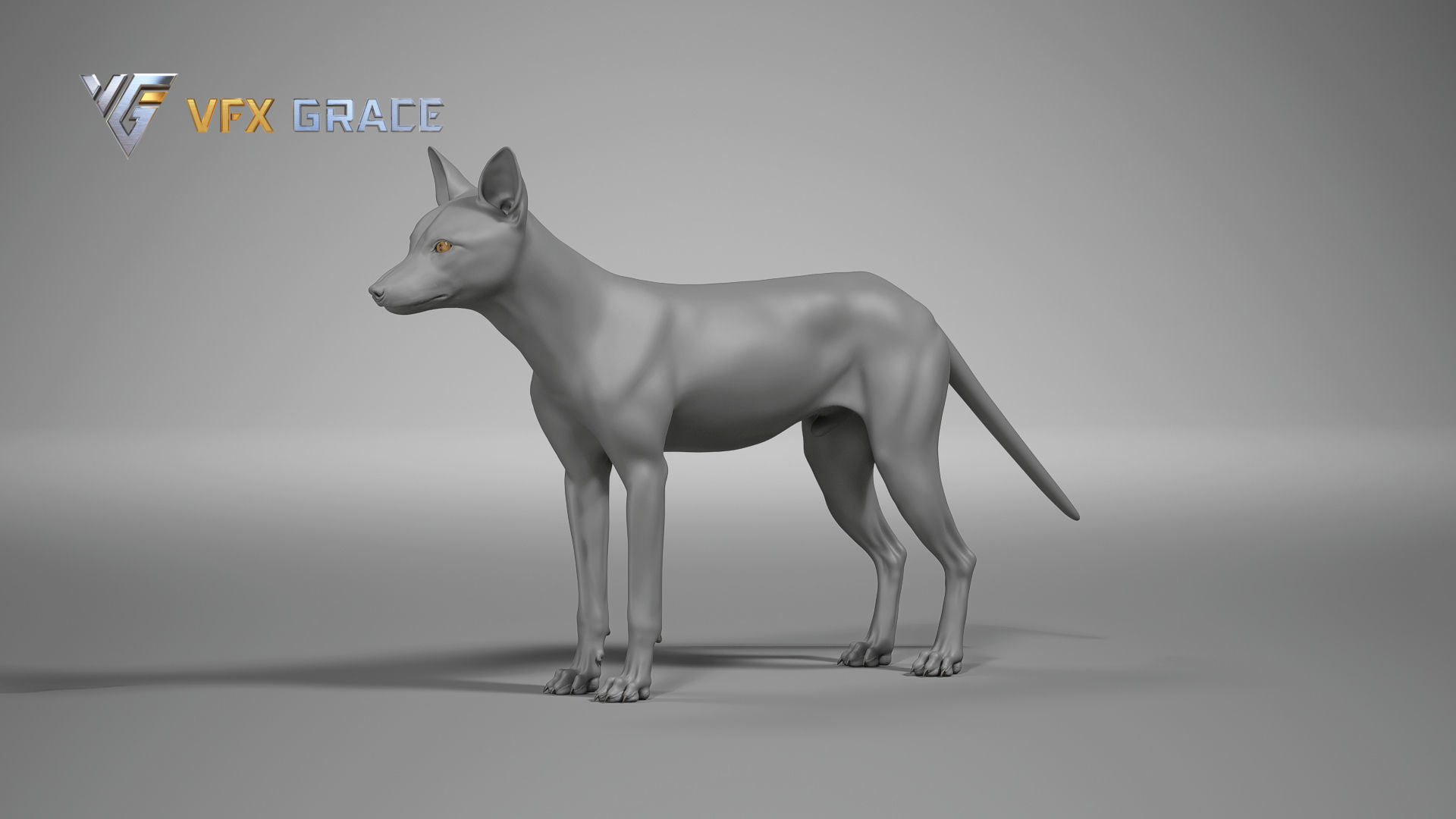 Red Fox UE Character Asset 3D model_14