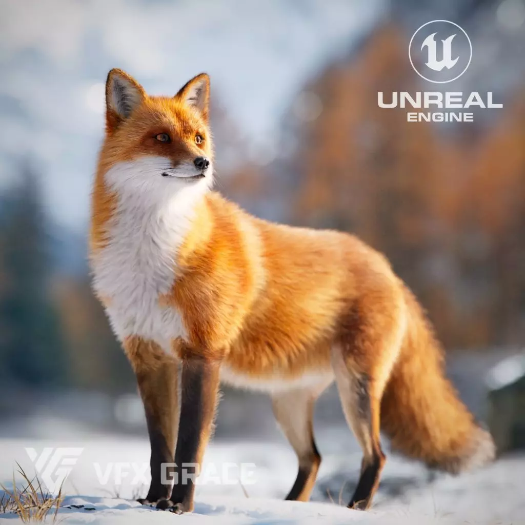 Red Fox UE Character Asset 3D model_0
