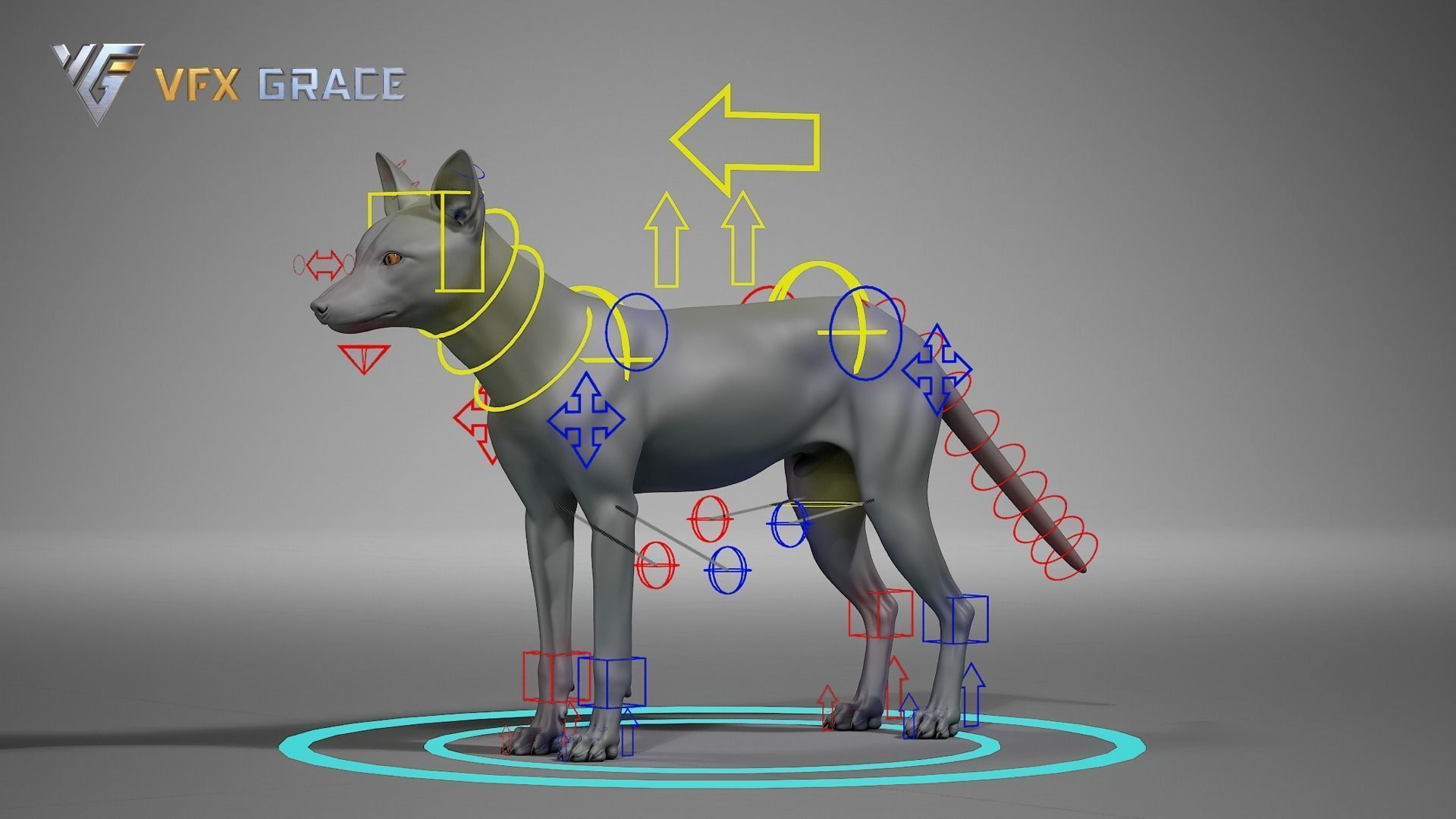 Red Fox UE Character Asset 3D model_17