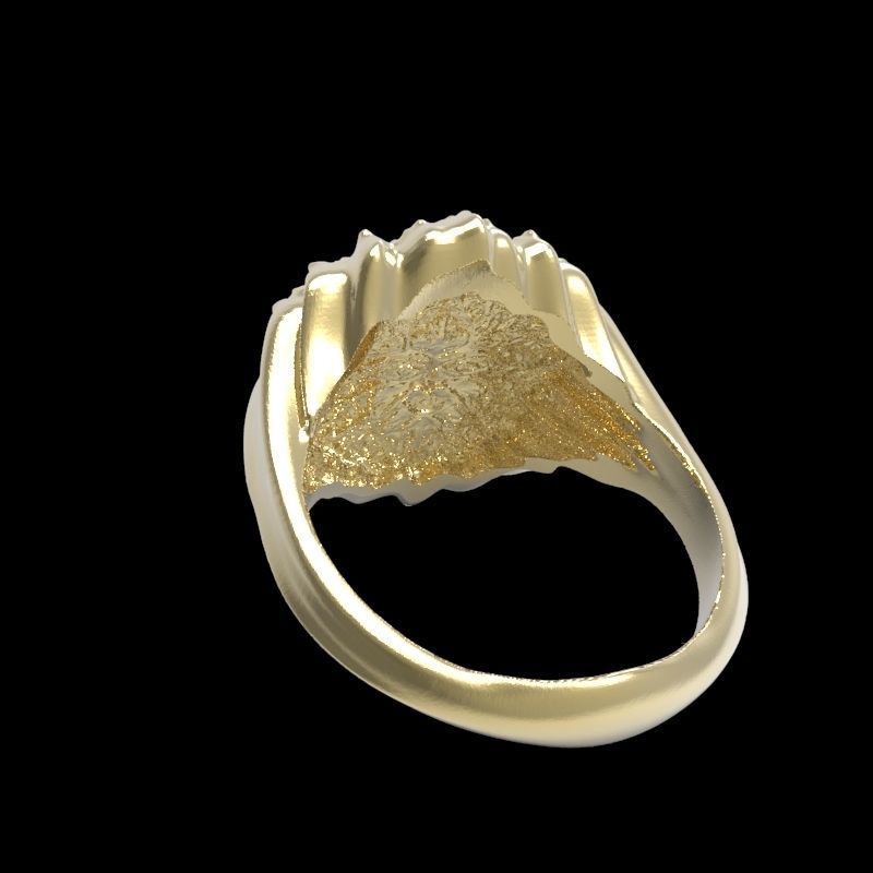 Nature face  3D print model_3