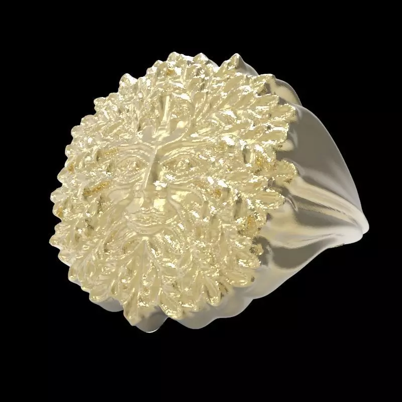 Nature face  3D print model_0