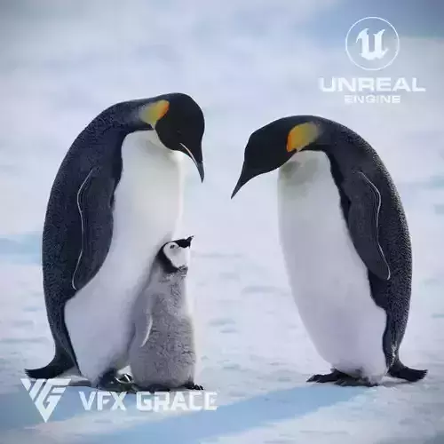 Emperor Penguin  UE Character Asset 3D model