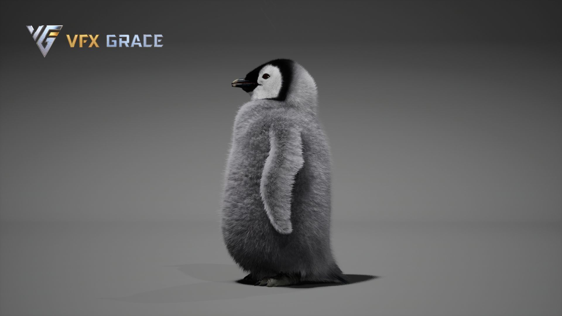 Emperor Penguin Baby  UE Character Asset 3D model_6