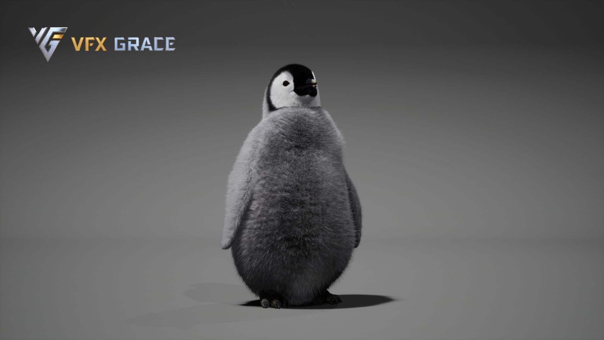 Emperor Penguin Baby  UE Character Asset 3D model_11