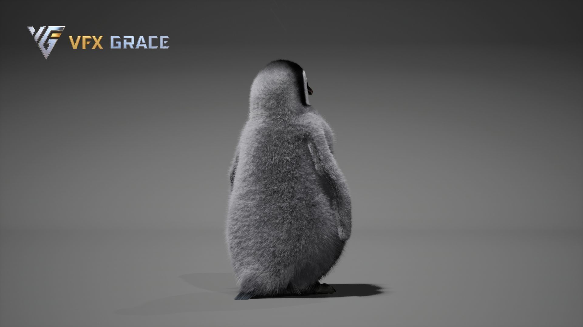 Emperor Penguin Baby  UE Character Asset 3D model_9