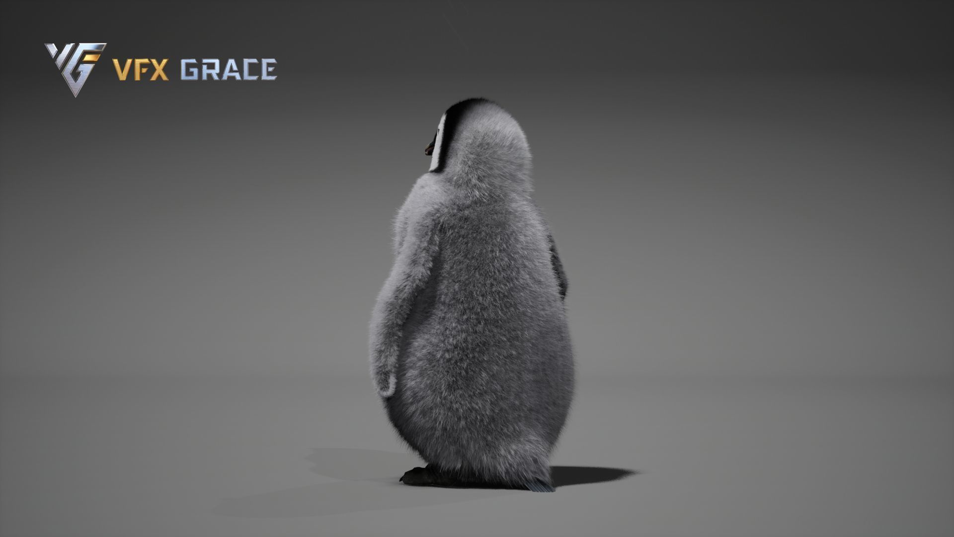 Emperor Penguin Baby  UE Character Asset 3D model_7