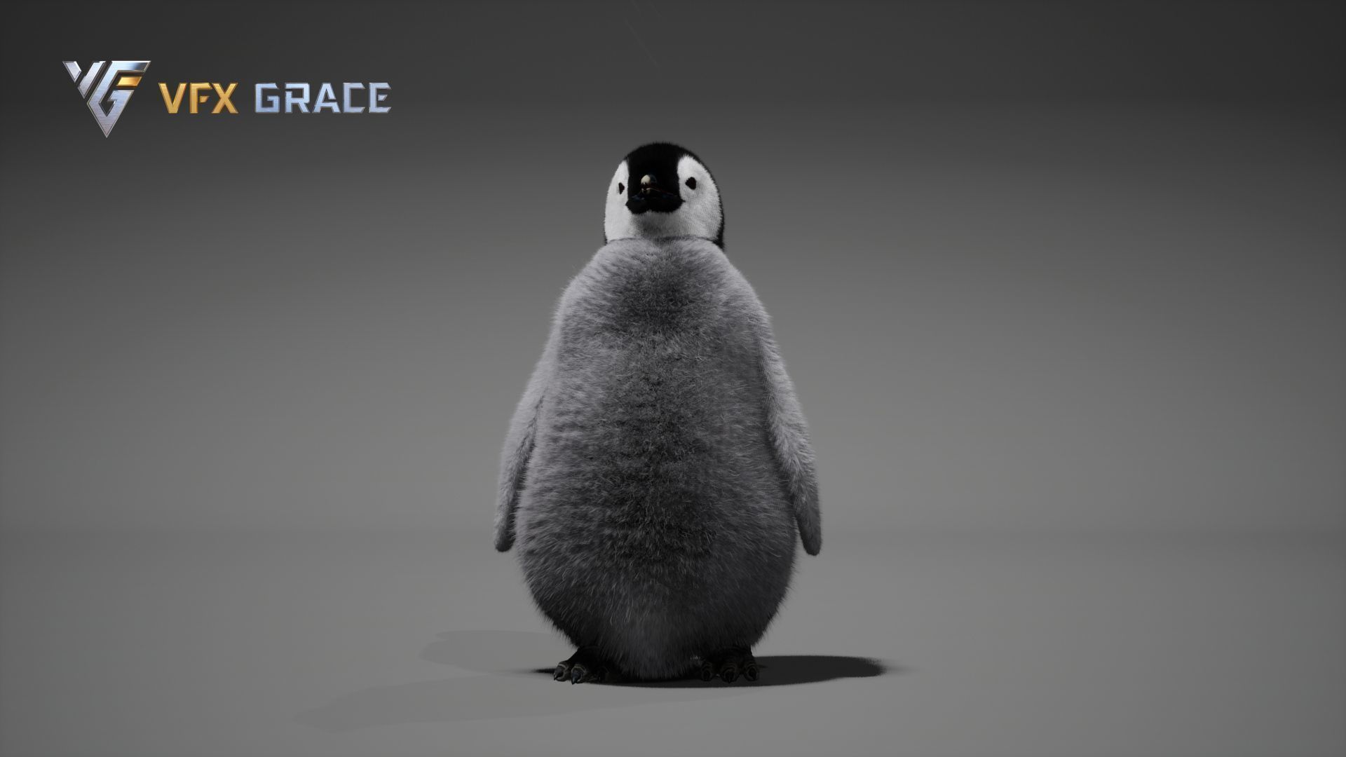 Emperor Penguin Baby  UE Character Asset 3D model_4