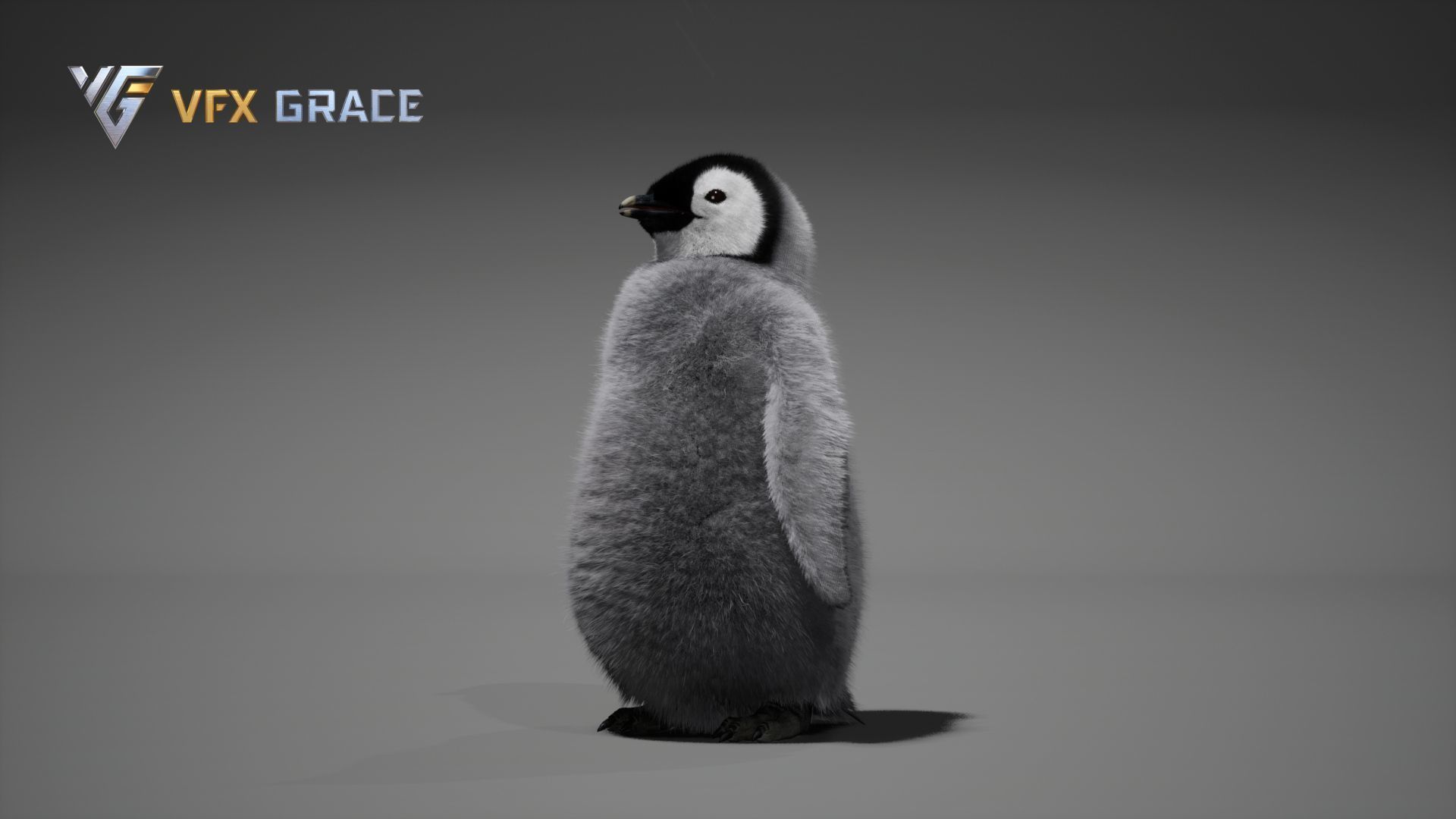Emperor Penguin Baby  UE Character Asset 3D model_5