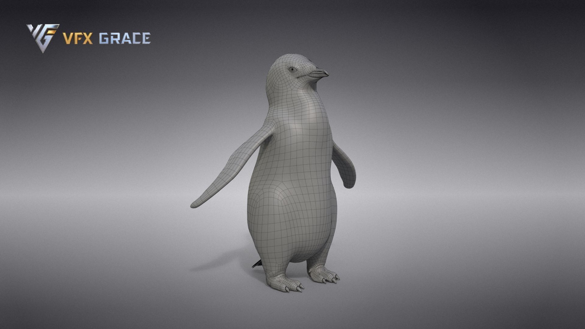 Emperor Penguin Baby  UE Character Asset 3D model_12