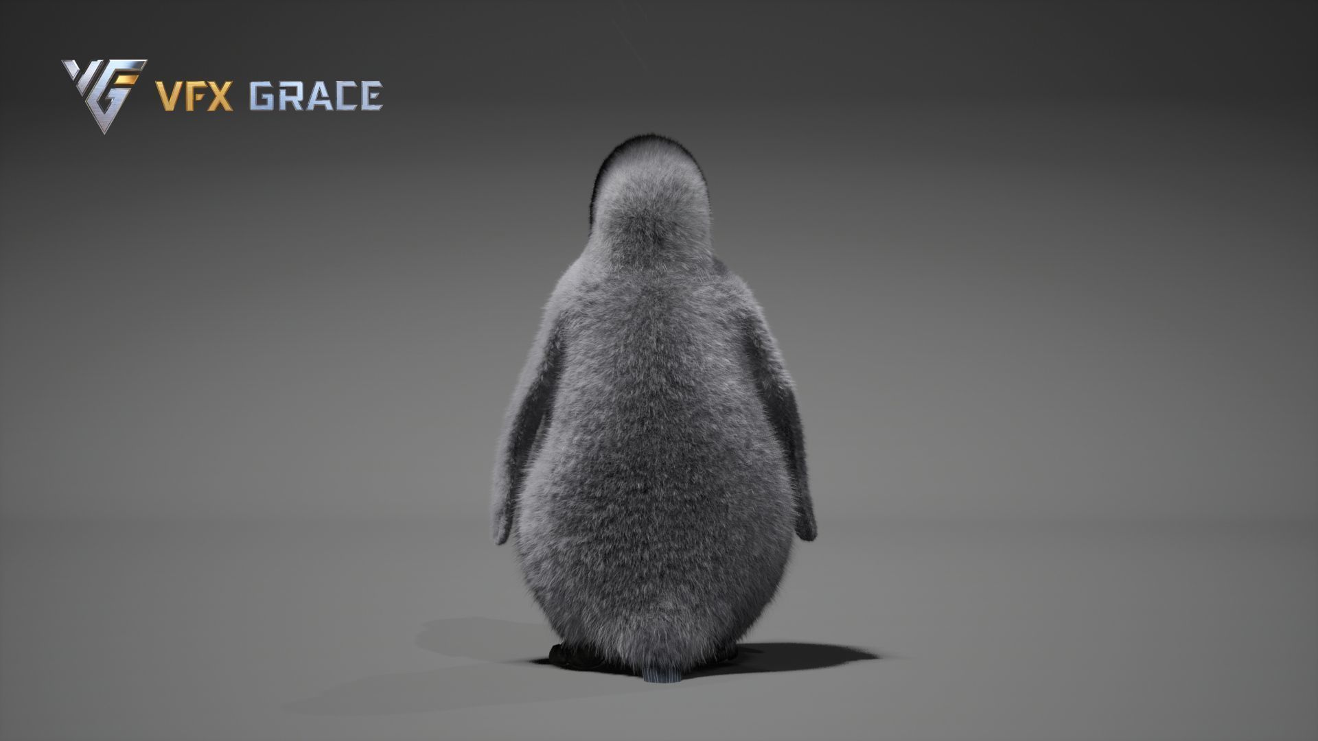 Emperor Penguin Baby  UE Character Asset 3D model_8