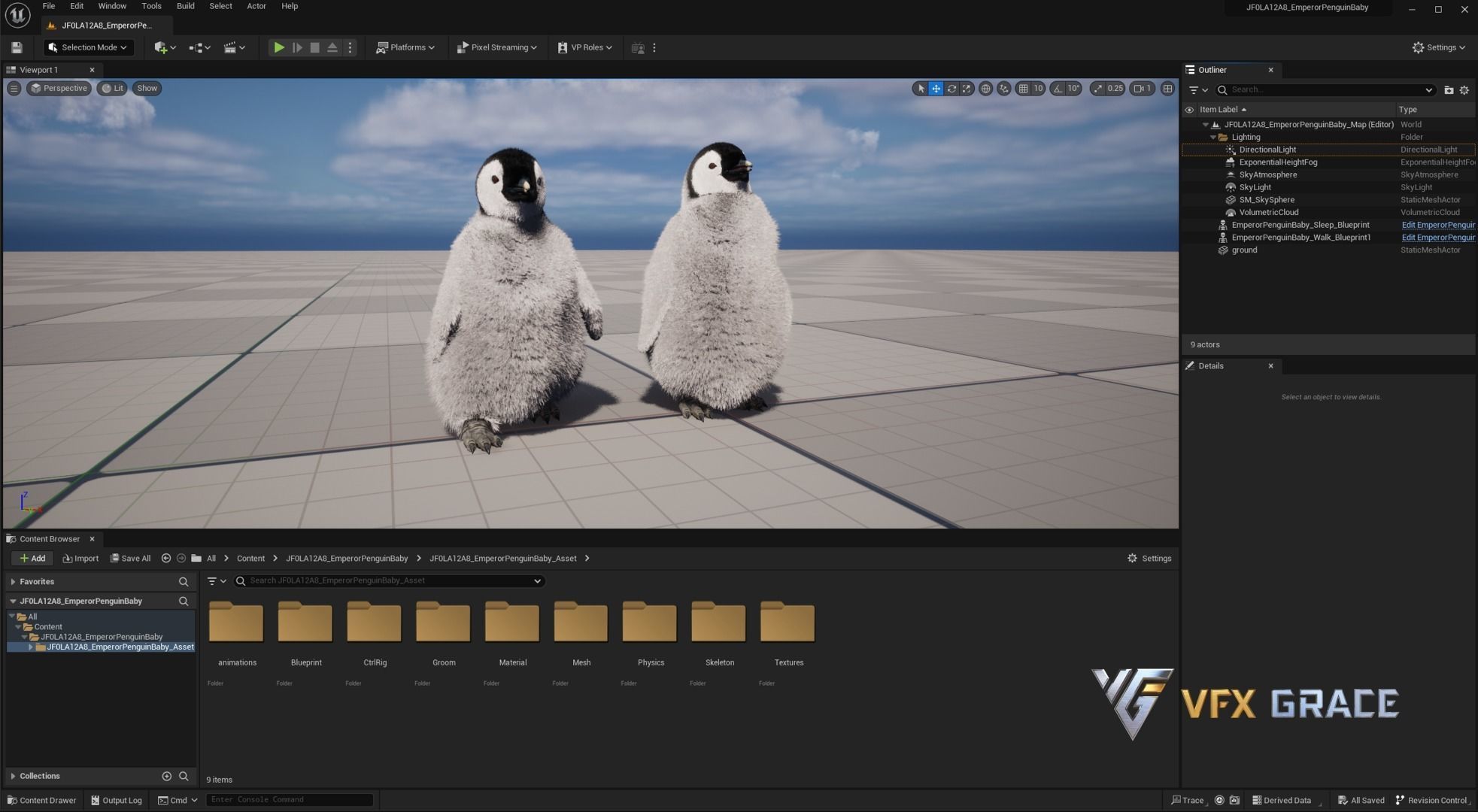 Emperor Penguin Baby  UE Character Asset 3D model_15