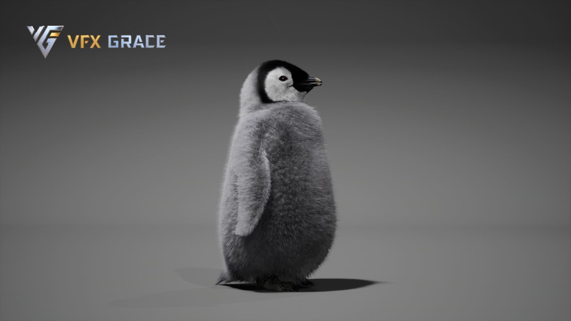 Emperor Penguin Baby  UE Character Asset 3D model_10