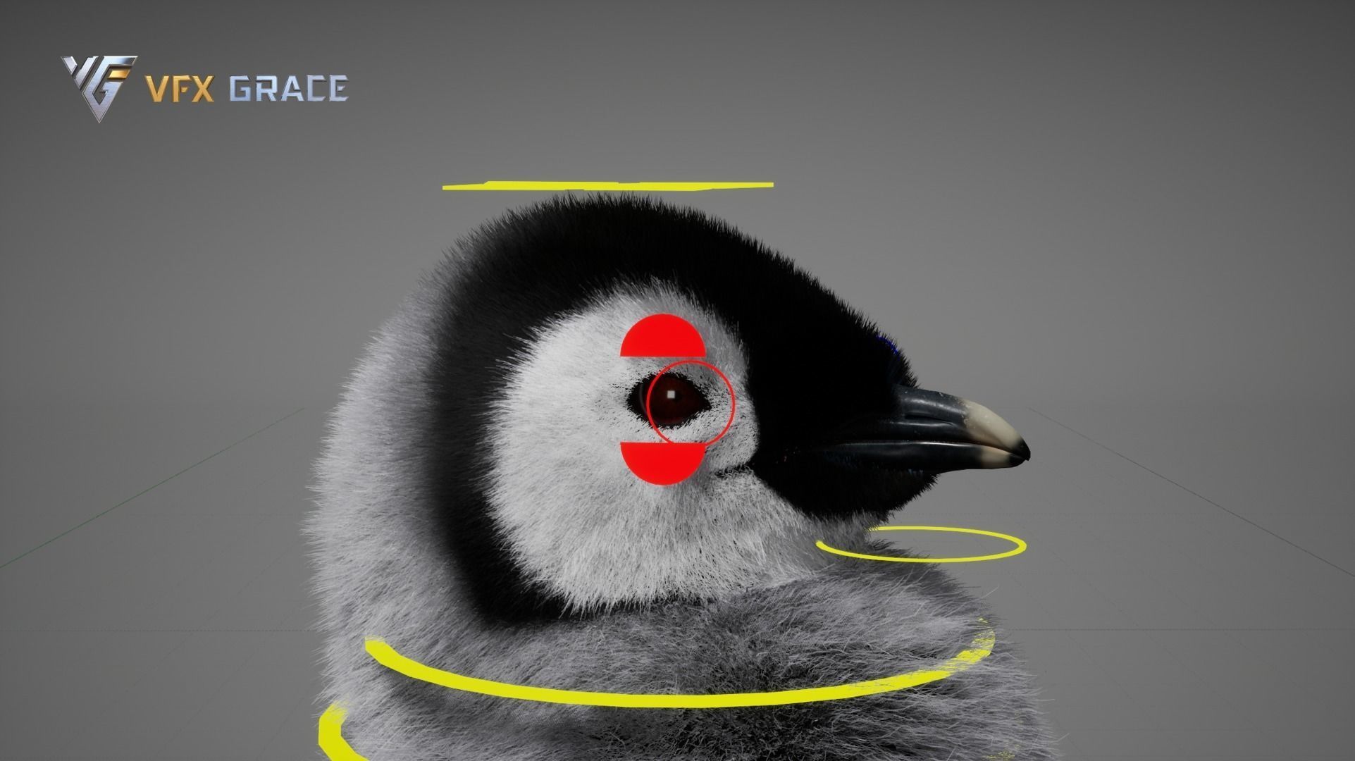 Emperor Penguin Baby  UE Character Asset 3D model_18