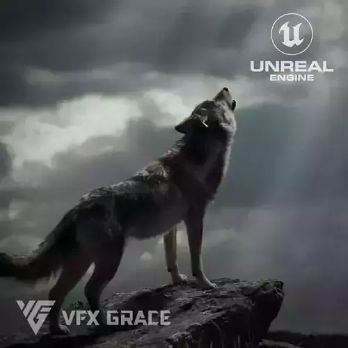 Wolf  UE Character Asset