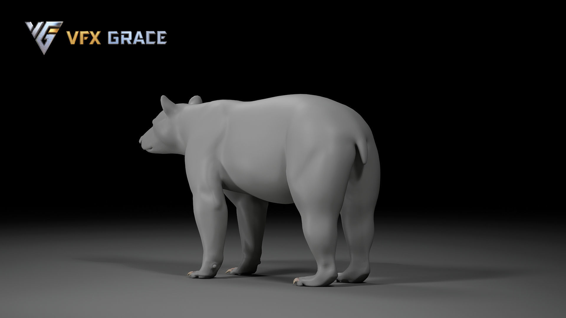 American BlackBear UE Character Asset 3D model_16