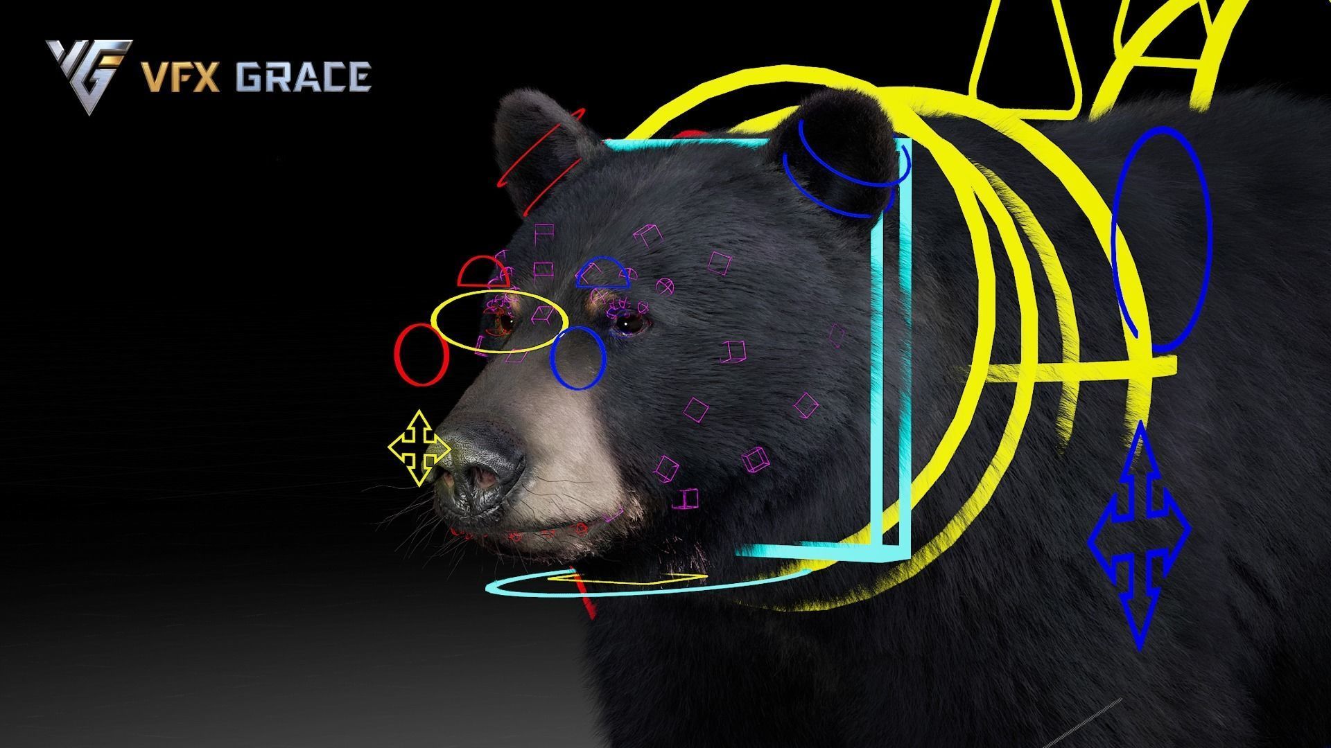 American BlackBear UE Character Asset 3D model_19