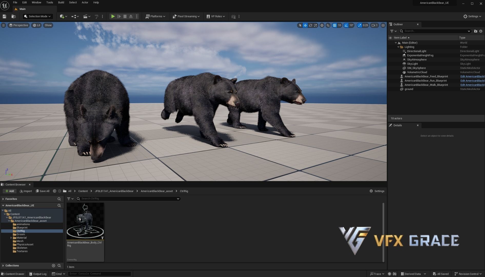American BlackBear UE Character Asset 3D model_20