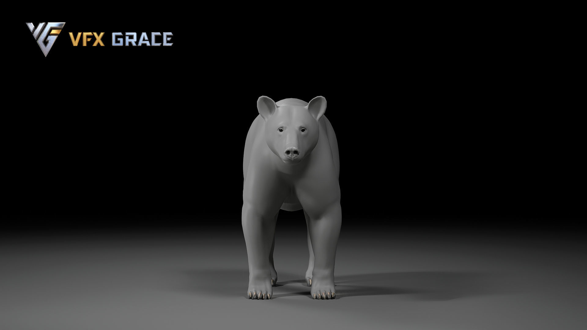 American BlackBear UE Character Asset 3D model_13