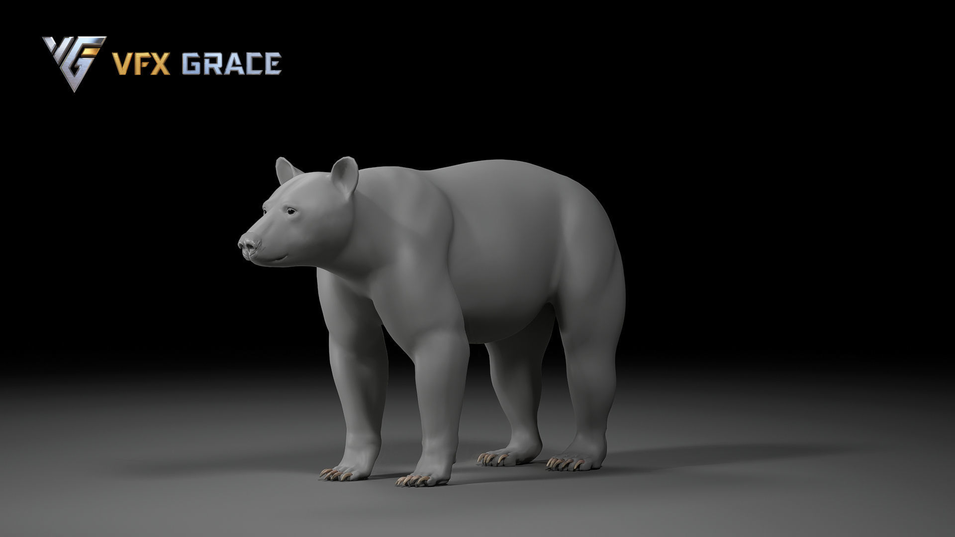 American BlackBear UE Character Asset 3D model_14