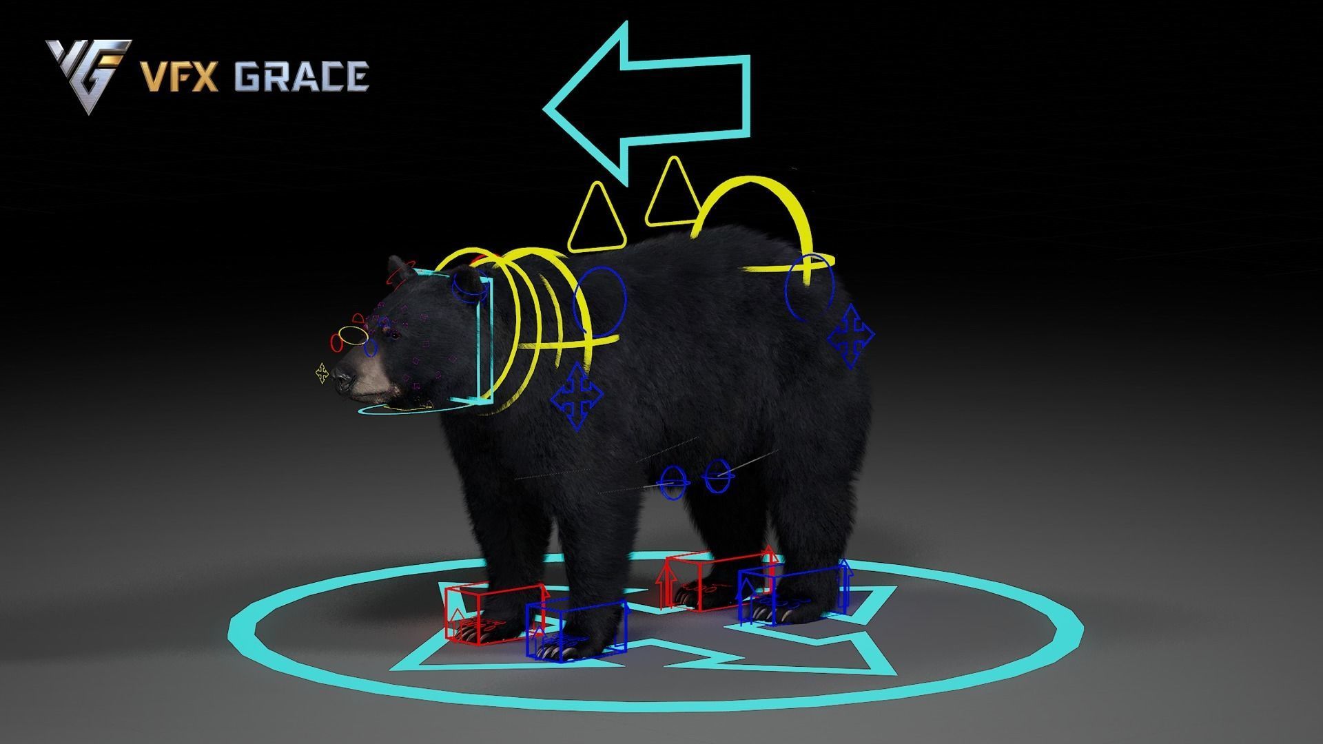 American BlackBear UE Character Asset 3D model_17