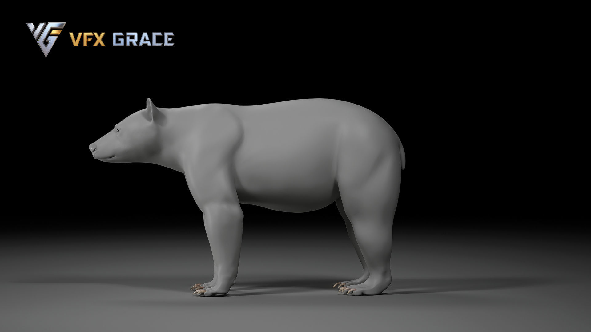 American BlackBear UE Character Asset 3D model_15