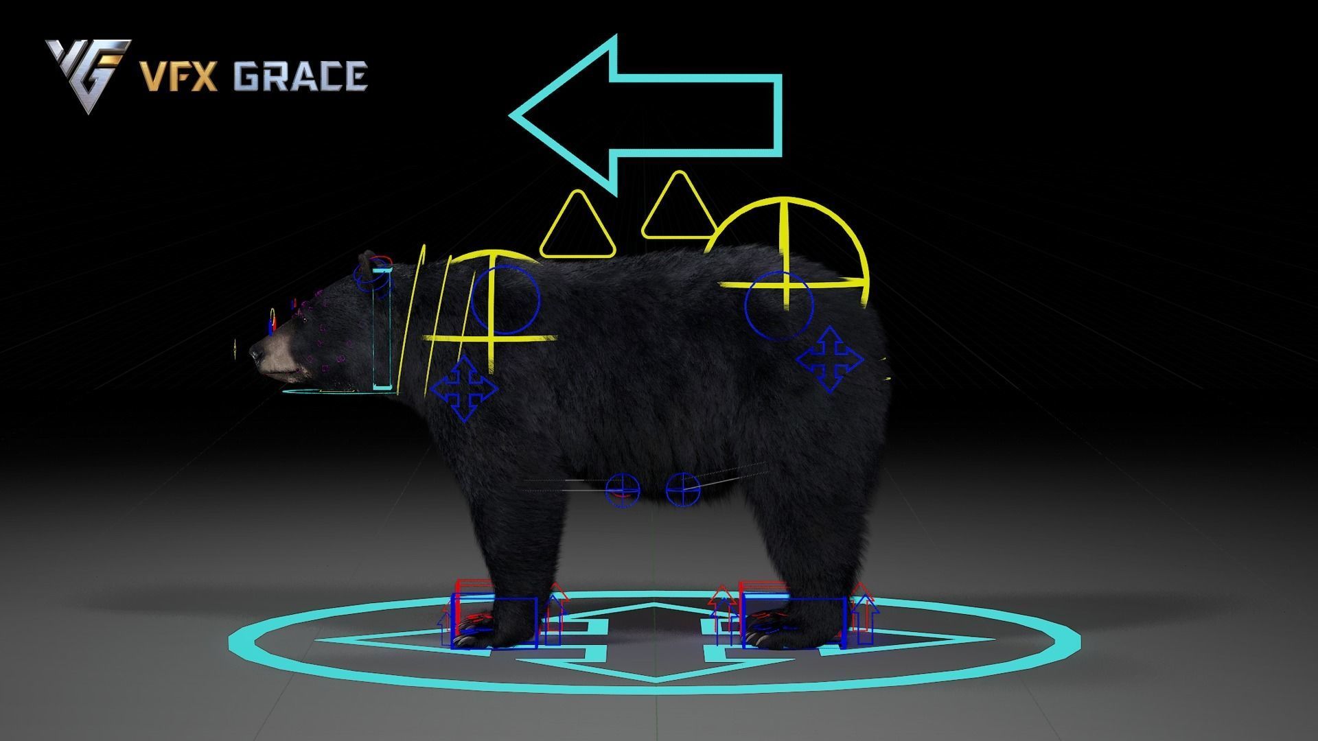 American BlackBear UE Character Asset 3D model_18
