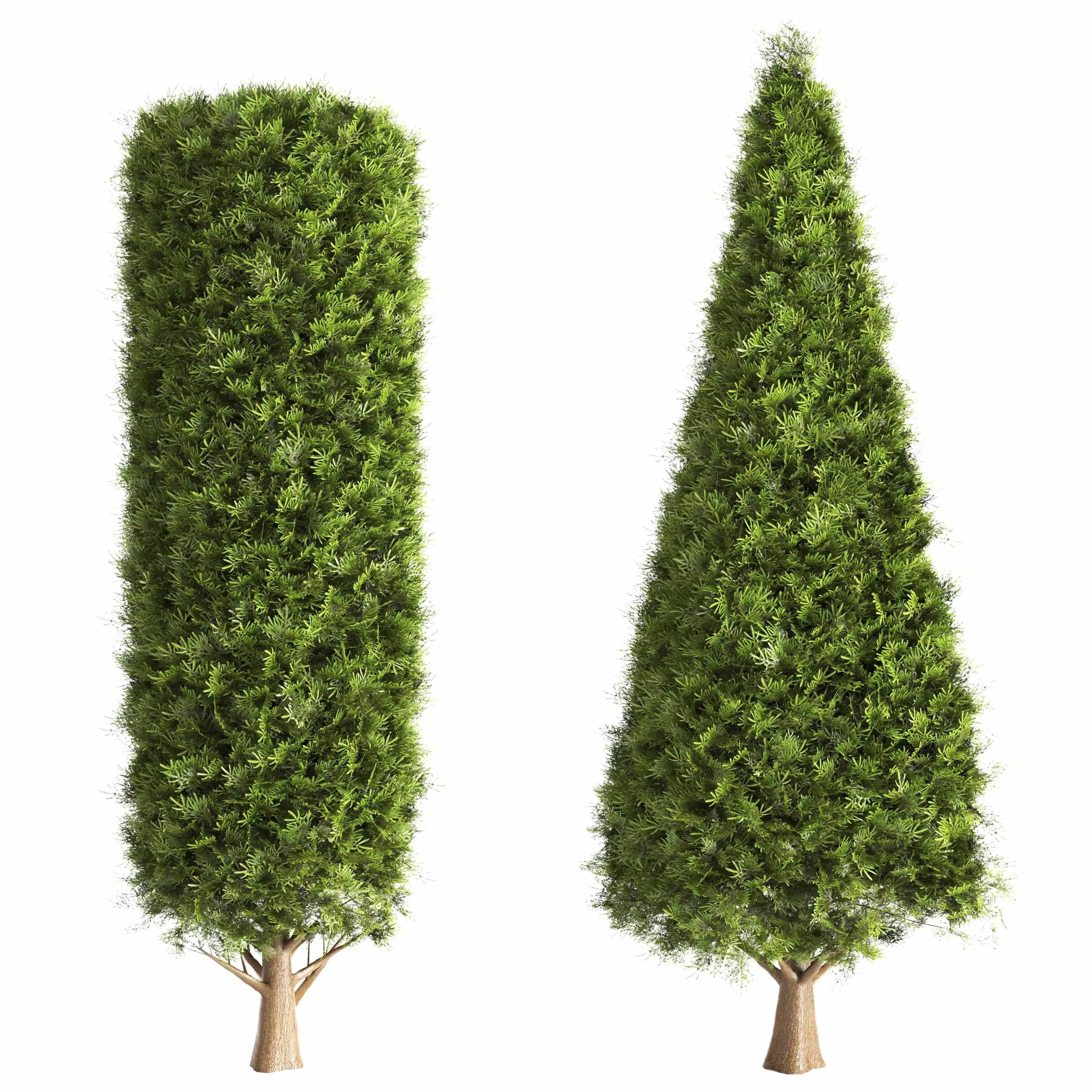 bush tree-01 3D model