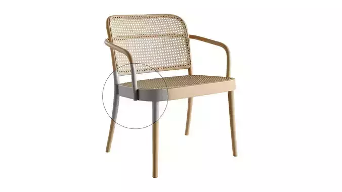 811 Lounge Armchair and Chair 365 by TON
