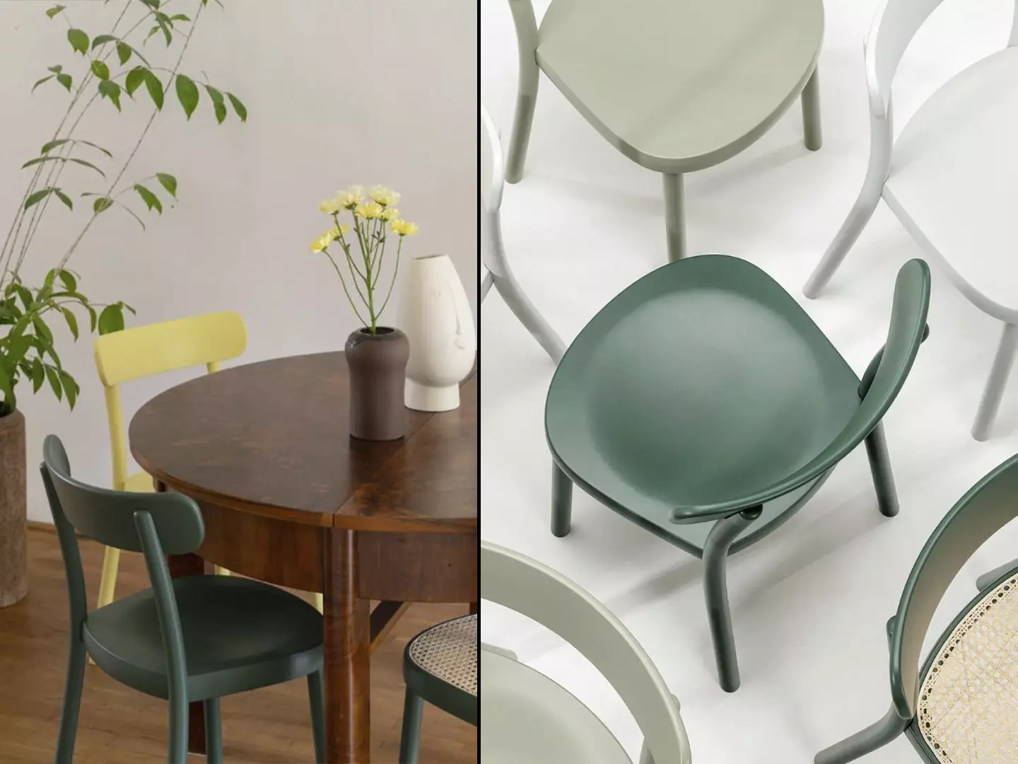 La Zitta Collection by TON _0