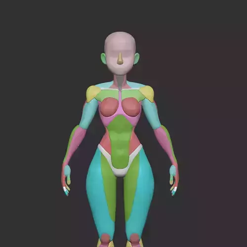 Female Blockout basemesh