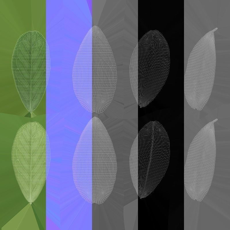 Cranberries Low-poly 3D model_7