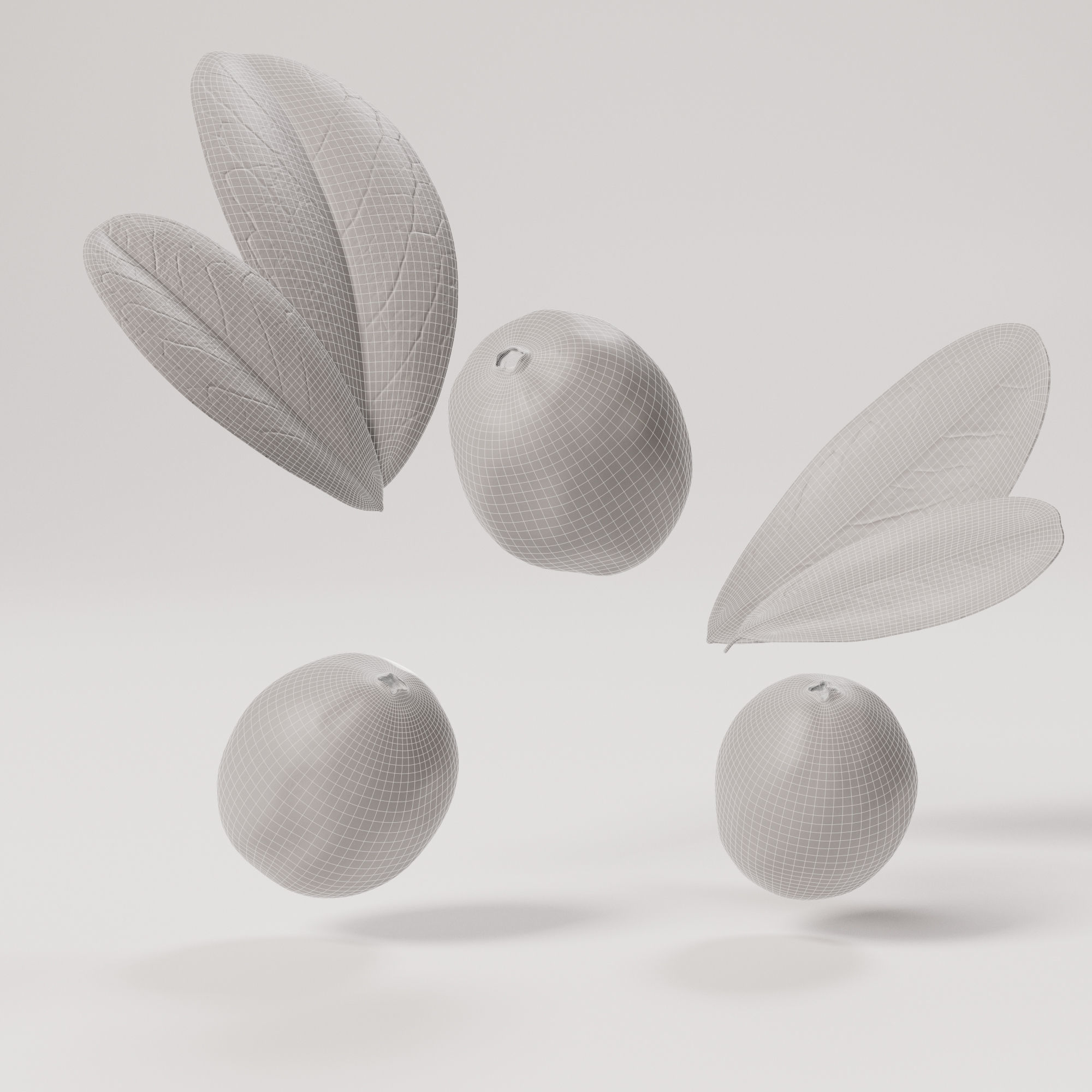 Cranberries Low-poly 3D model_1