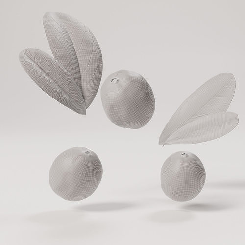 Cranberries Low-poly 3D model 2