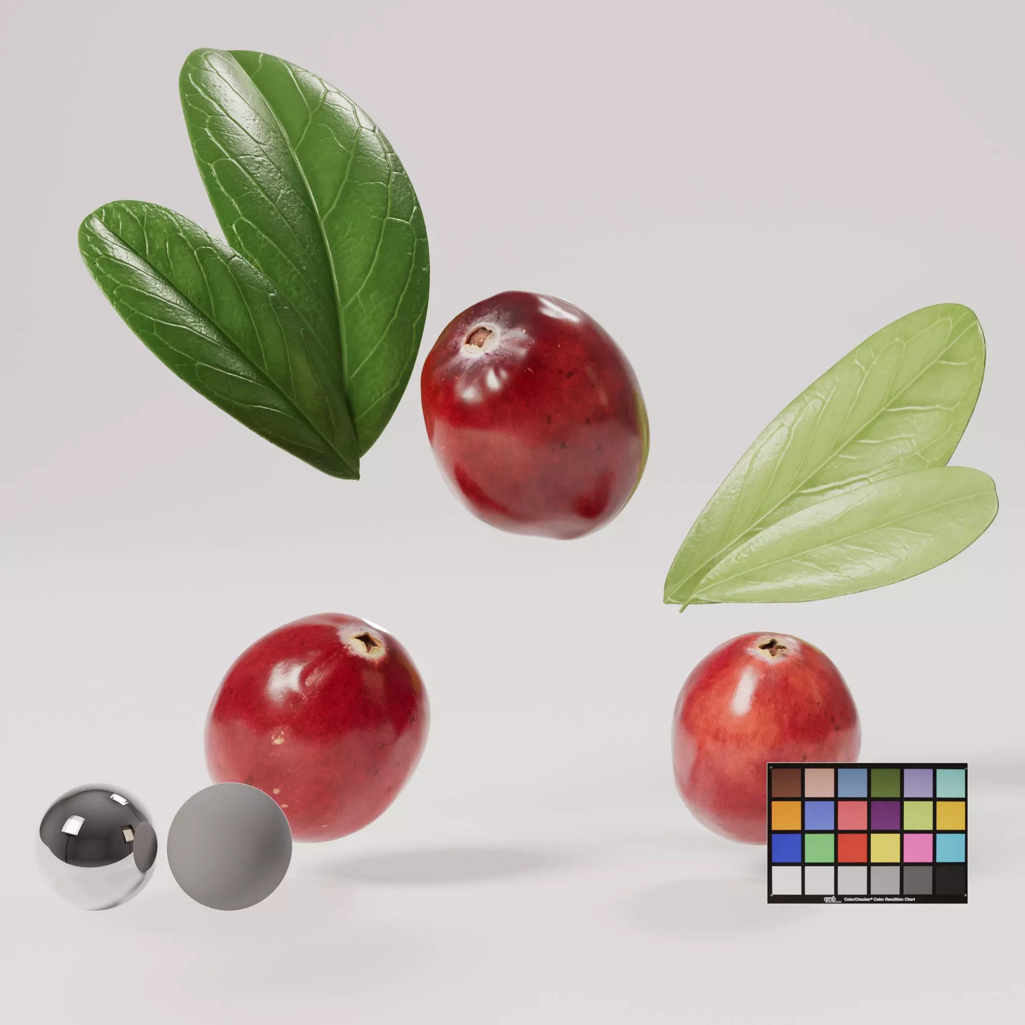 Cranberries Low-poly 3D model_0