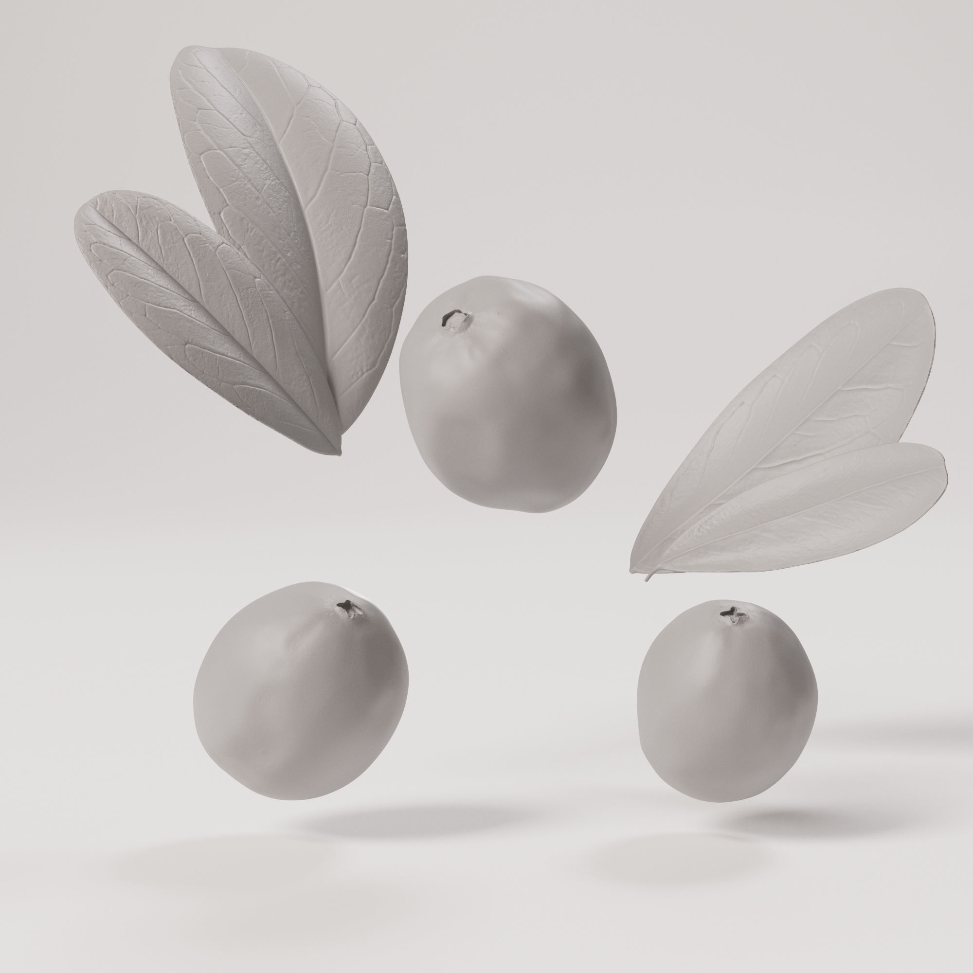 Cranberries Low-poly 3D model_3