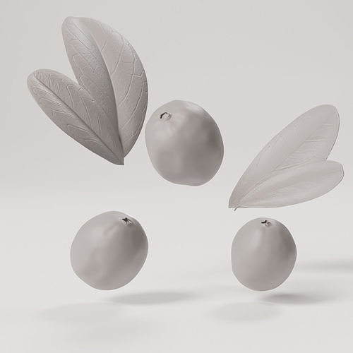 Cranberries Low-poly 3D model 4