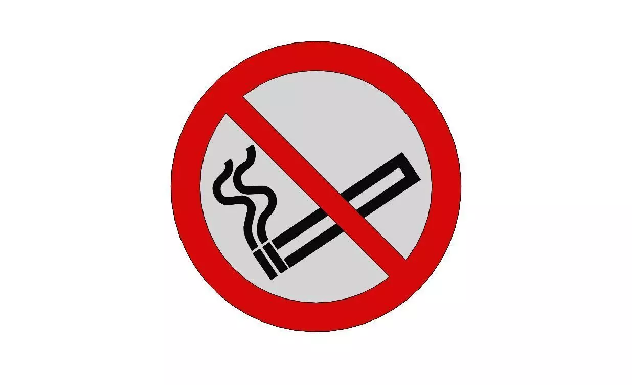 ISO7010 P002 Mandatory Sign No Smoking  with Standardized Colour 3D model_0