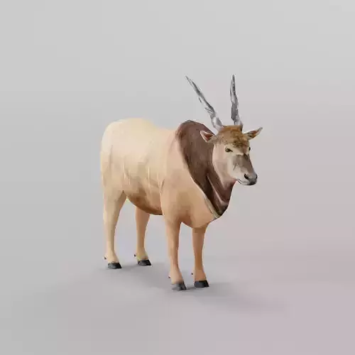 Greater Eland Antelope Low-poly 3D model