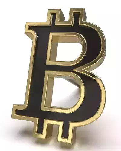 Bitcoin framed stud earring enamel ready 3D print model