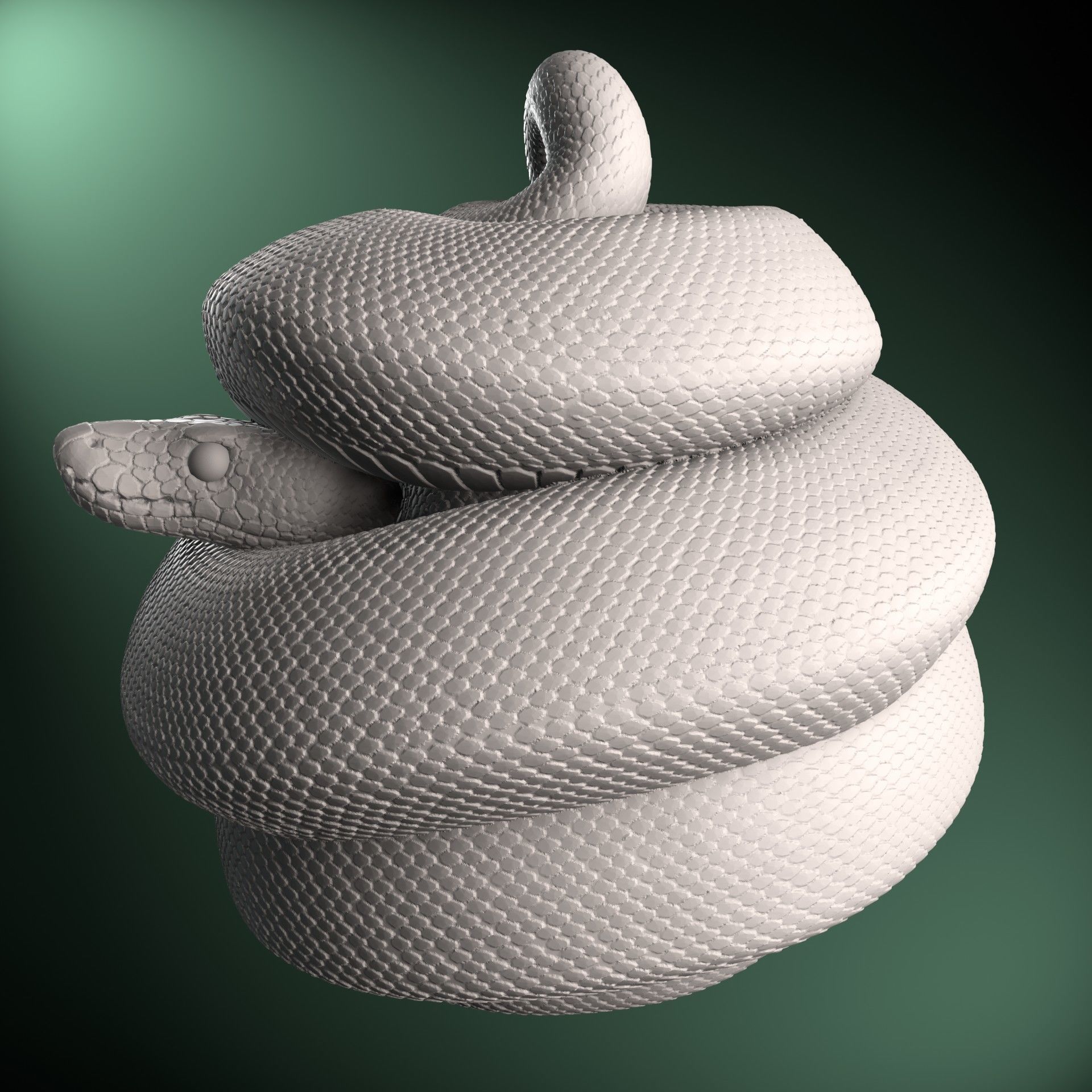 Ball Python Christmas Ornament Pet Reptile 3D print model_5