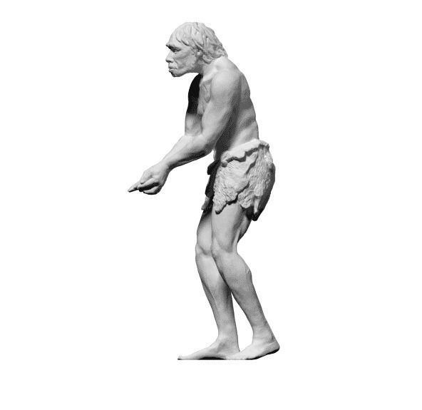 Caveman  3D model_1